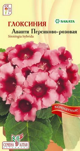Правильная подкормка винограда весной. Чем удобрять виноград Удобряем виноград для быстрого и хорошего роста - Удобрения и