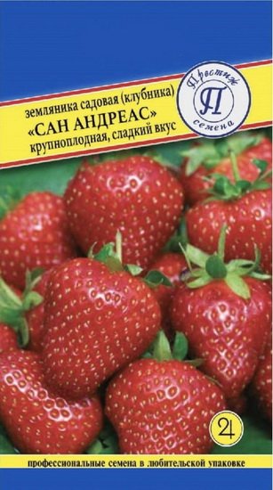 Земляника Сан Андреас