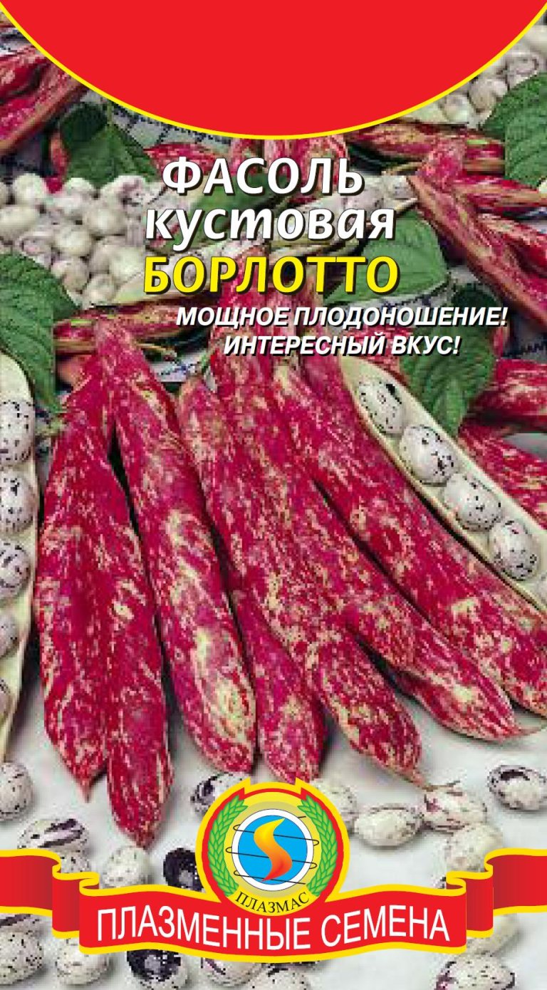 Фасоль спаржевая кустовая сорта