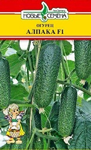 Купить Семена Огурцов Конни