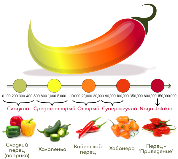 Сколько входит перец. Перец халапеньо шкала Сковилла. Перец халапеньо жгучесть. Капсаицин шкала остроты. Шкала сортов перцев по Сковиллю.