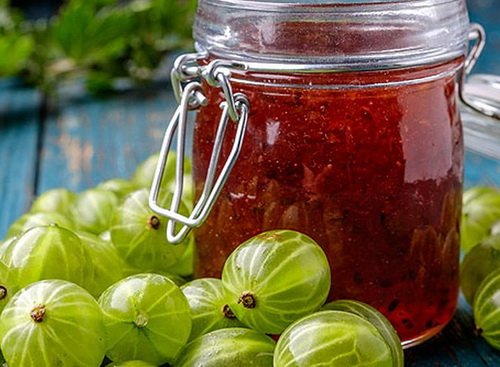 Крыжовник Ленинградский великан, слабошиповатый