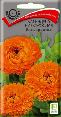 Календула Фиеста оранжевая низкорослая