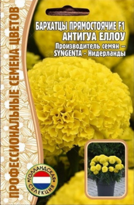 Бархатцы Antigua Yellow