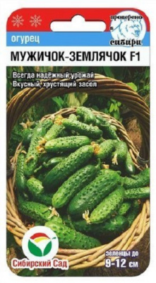 Огурец Мужичок-землячок