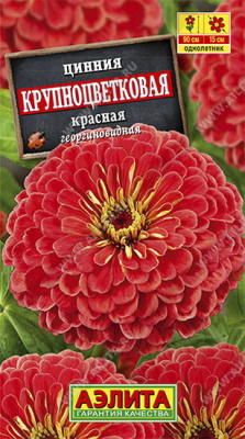Цинния Крупноцветковая красная