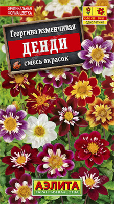 Георгина ДЕНДИ