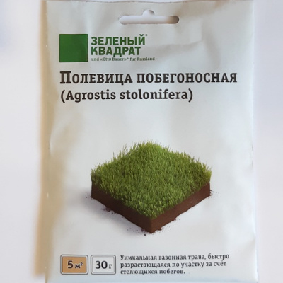 Полевица побегоностная КРОМИ