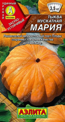 Тыква Мария мускатная