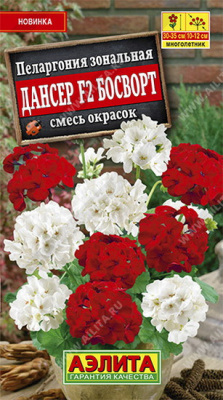 Пеларгония Дансер Босворт