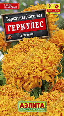 Бархатцы Геркулес