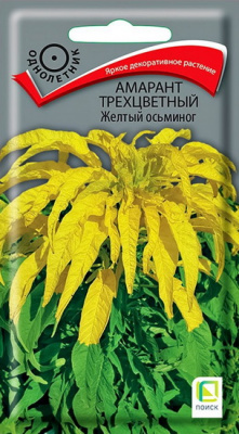 Амарант Желтый осьминог трехцветный