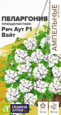 Пеларгония Рич Аут F1 Вайт плющелистная