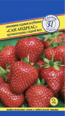 Земляника Сан Андреас