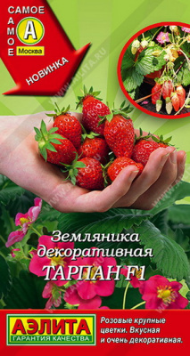 Земляника Тарпан