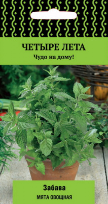 Мята Забава