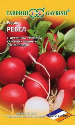 Редис Ребел