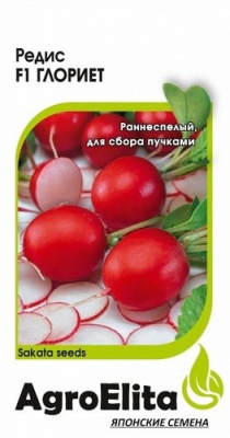 Глориет