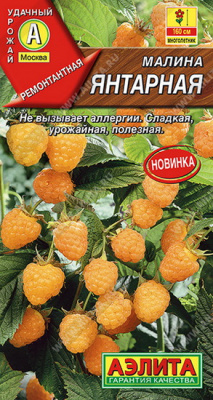 Малина Янтарная