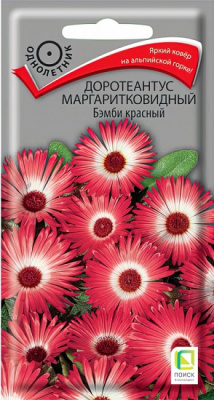 Доротеантус Бэмби красный