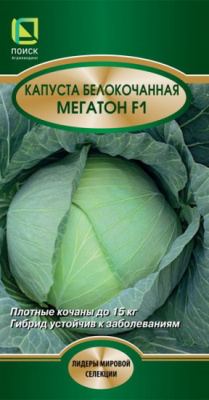 Капуста белокочанная Мегатон