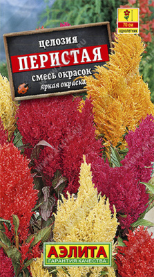 Целозия перистая, смесь окрасок