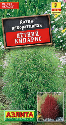 Кохия Летний Кипарис