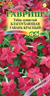 Табак душистый Благоухающая гавань, красный