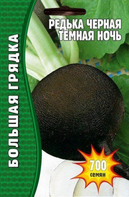 Редька Темная ночь