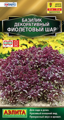 Базилик Фиолетовый шар