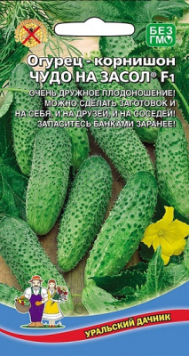 Огурец Чудо на засол
