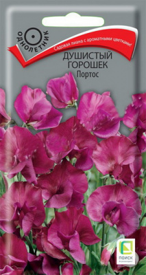 Душистый горошек Портос