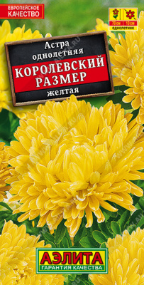 Астра Королевский размер желтая
