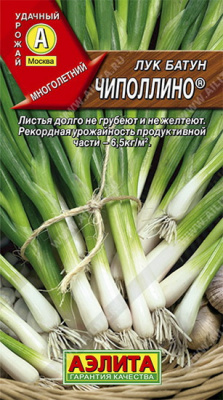 Лук батун Чиполлино