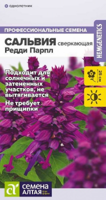 Сальвия Рэдди Пурпл