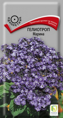 Гелиотроп Марина (1)