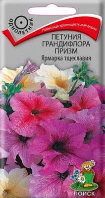 Петуния Призм Ярмарка тщеславия (