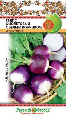Редис Фиолетовый с белым кончиком