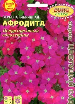 Вербена Афродита