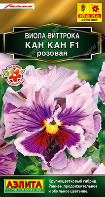 Виола Кан Кан розовая