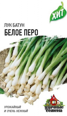 Лук на зелень Белое перо