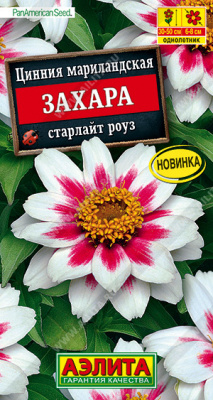 Цинния Захара старлайт роуз