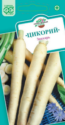 Цикорий Знахарь