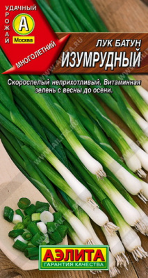 Лук батун Изумрудный