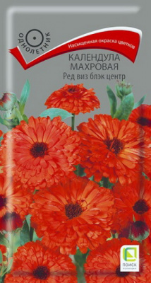 Календула Ред виз блэк центр махровая