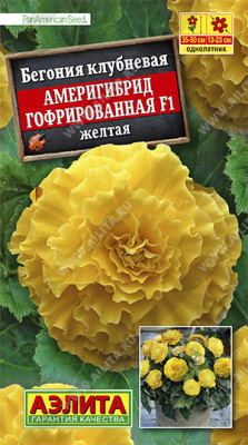 Бегония Америгибрид гофрированная желтая