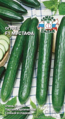 огурец мустафа