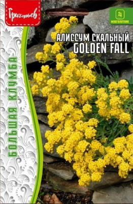 Алиссум скальный Golden Fall