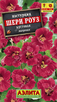 Настурция Шери Роуз