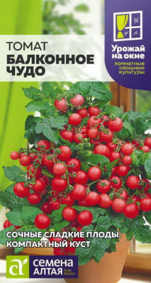 Томат Балконное Чудо